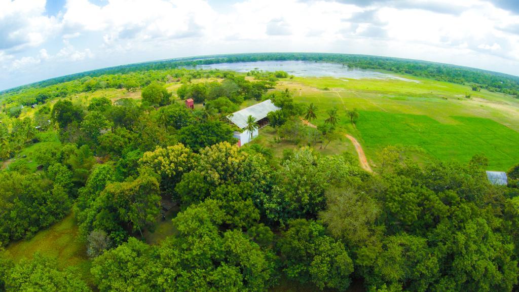 Mankada Resort Anuradhapura Værelse billede