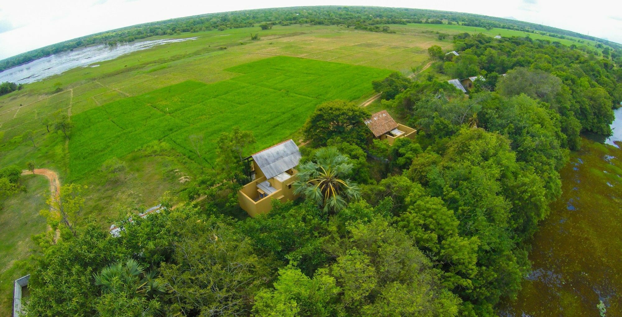 Mankada Resort Anuradhapura Eksteriør billede